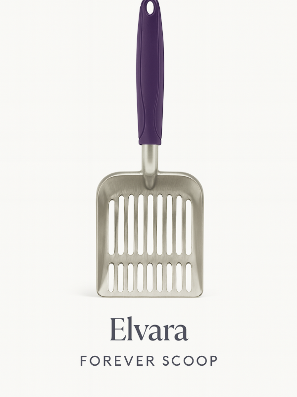 Elvara Forever Scoop